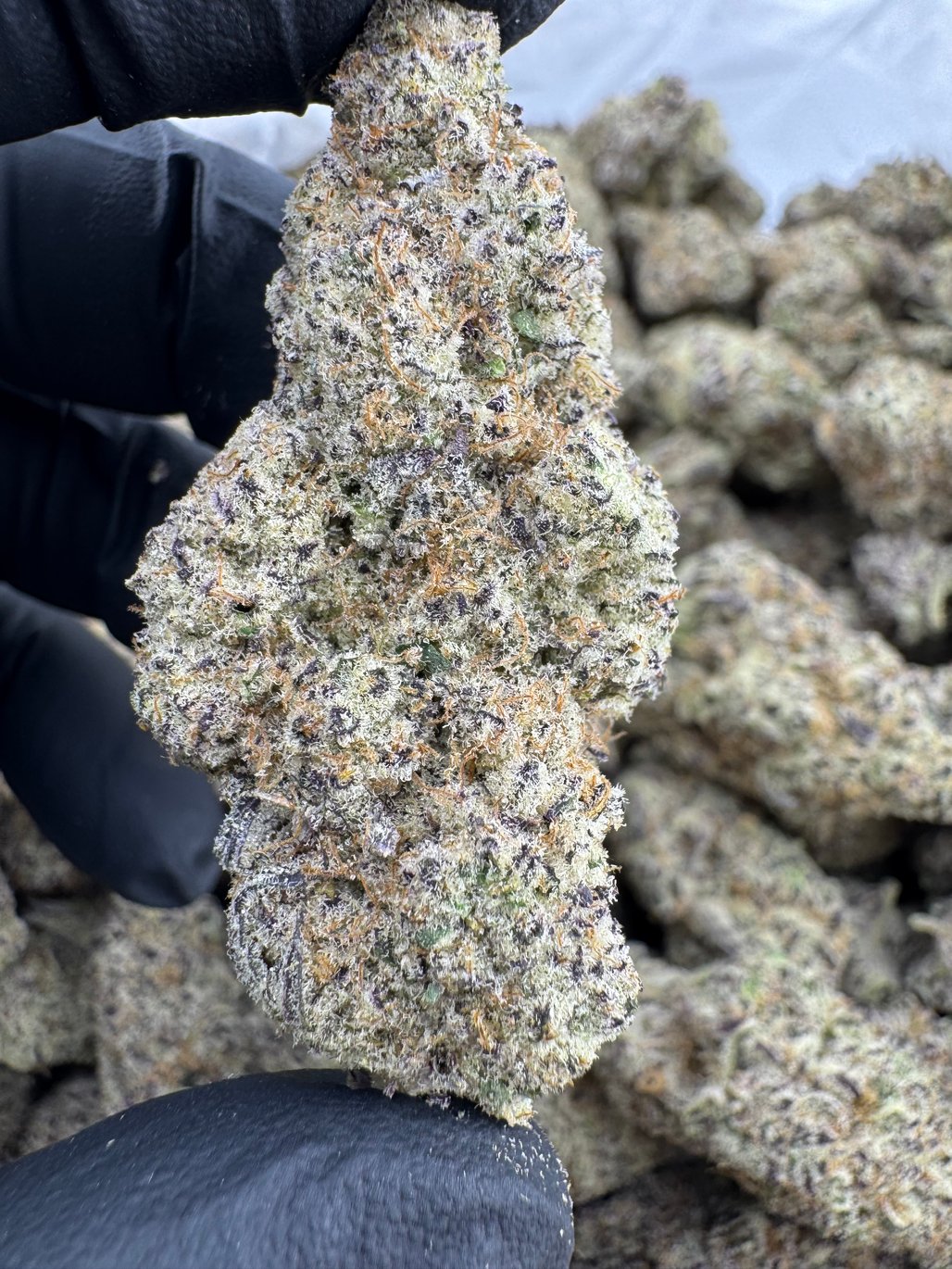 Hawaiian Punch